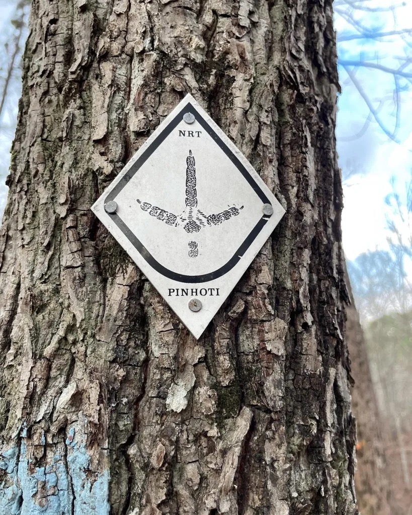 Pinhoti trail blaze marker on a tree
